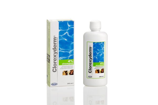 chlorex 4 proc shampoo
