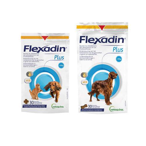 Flexadin plus 30
