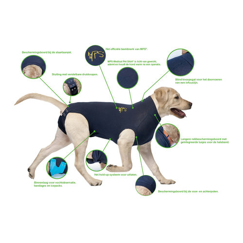 schraper Ontdek herhaling Medical Pet Shirt hond XXL | Dierenarts Van Haver te Aalter